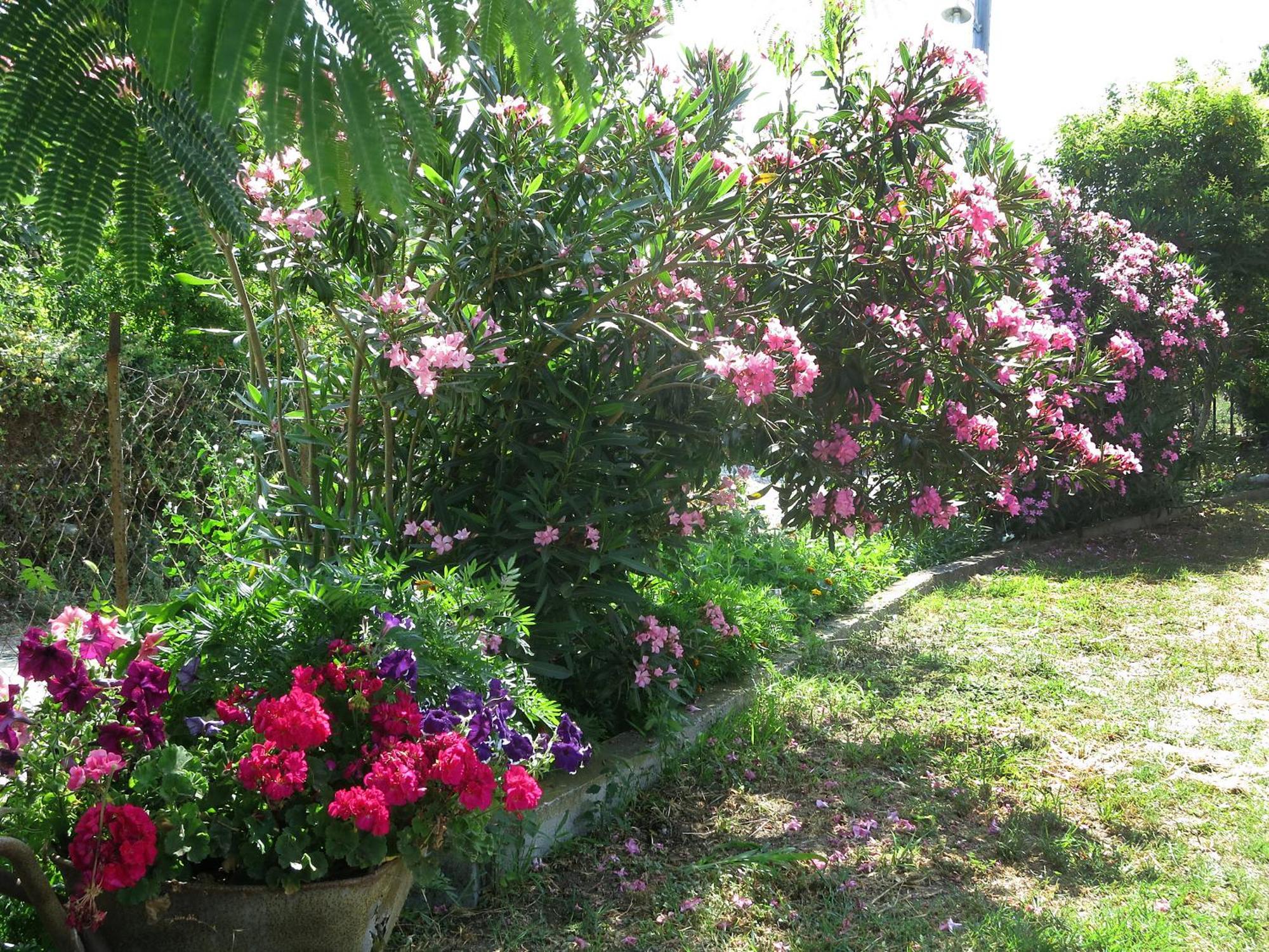 Thanasis Matsas Rooms Kamariotissa Buitenkant foto